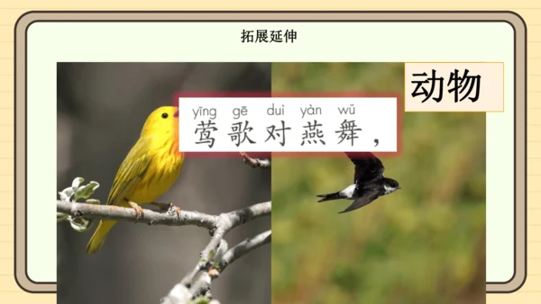 识字6 古对今（课件）