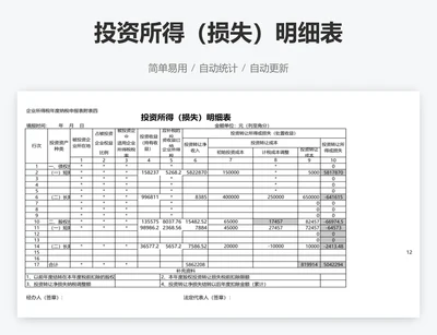 投资所得（损失）明细表