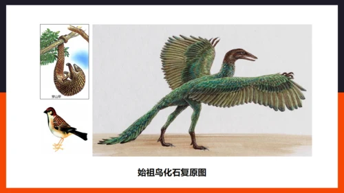 生命起源和生物进化企鹅通用PPT模板