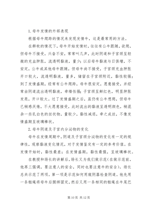 奶牛场实习报告.docx