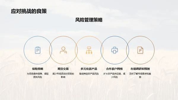 农业项目投资策略