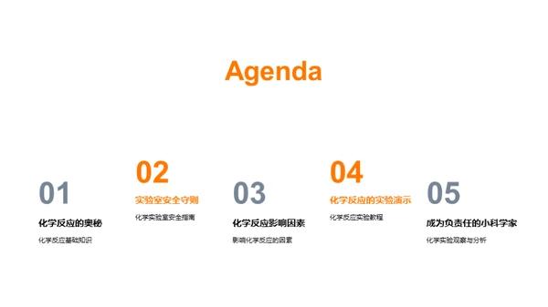 化学反应探秘实验