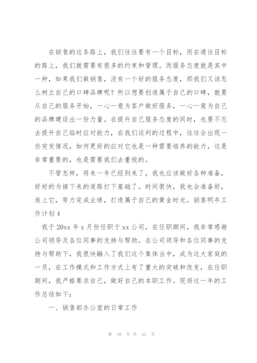 销售明年工作计划.docx