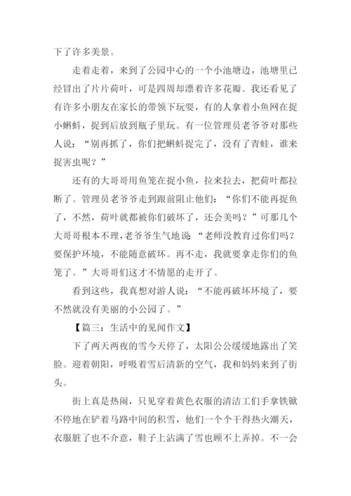 生活中的见闻作文300字.docx