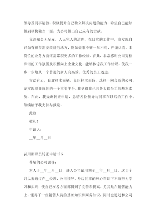 试用期转正评估报告.docx