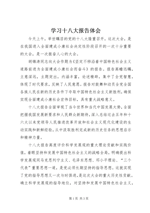 学习十八大报告体会 (7).docx