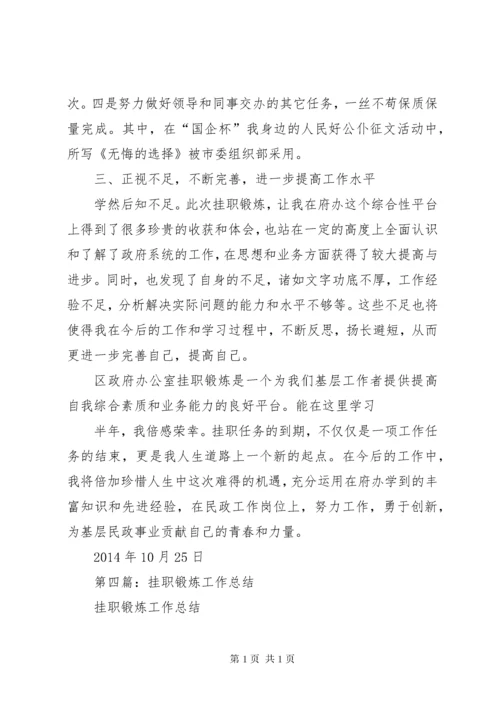 省政府派挂职锻炼工作总结.docx