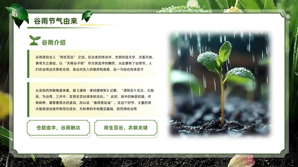 绿色系传统文化二十四节气谷雨主题PPT模板