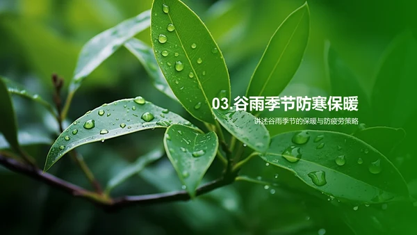 应对谷雨季节