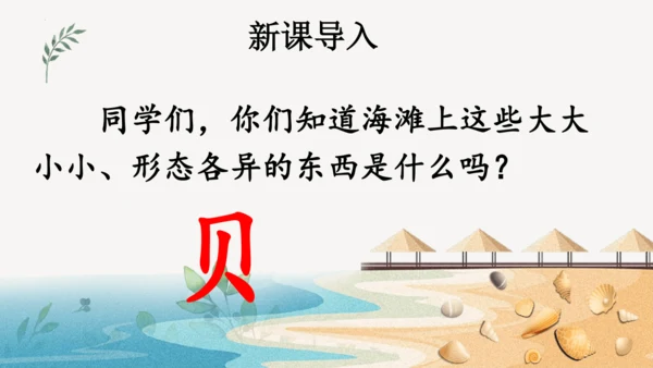 识字3 贝的故事（第一课时）课件