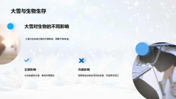 雪季科教启示录