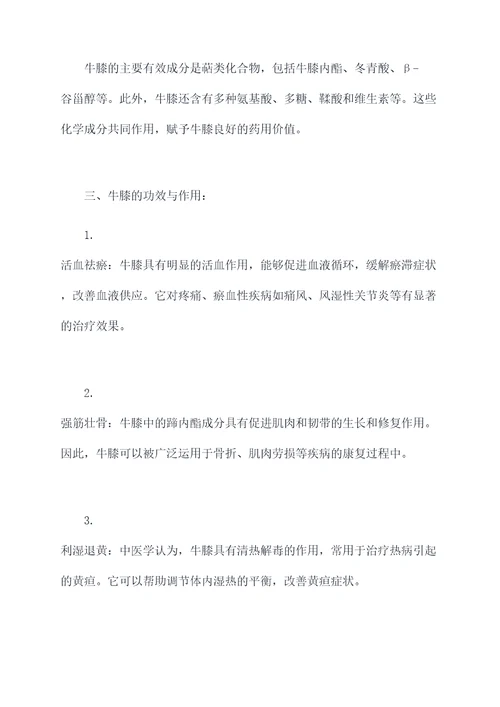 用牛膝的功效与作用