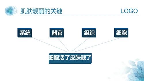 医美美容护肤基础知识讲座PPT课件