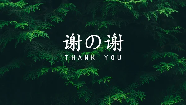地下森林作家张抗抗作品解读PPT课件