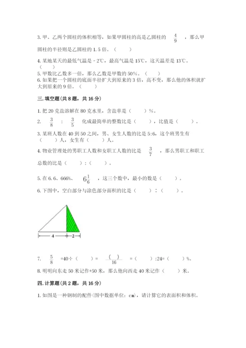 北师大版六年级下册数学期末测试卷附完整答案【各地真题】.docx