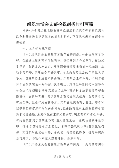 组织生活会支部检视剖析材料两篇.docx