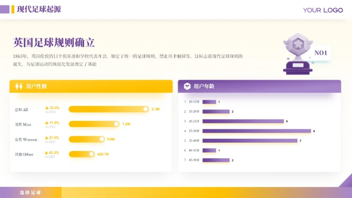 紫色商务风竞技体育足球运动介绍ppt模板