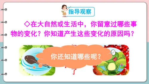 第16课《金色的草地》（第二课时）课件