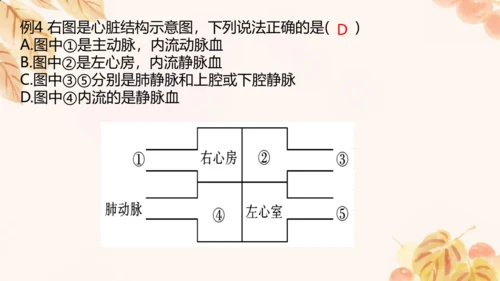 第四单元第四章人体内物质的运输 复习课件(共23张PPT)人教版七年级下册