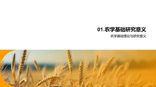 农学研究探析