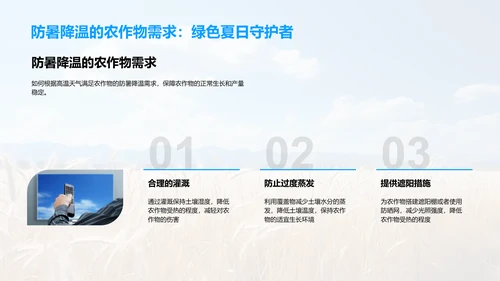 大暑农业生产