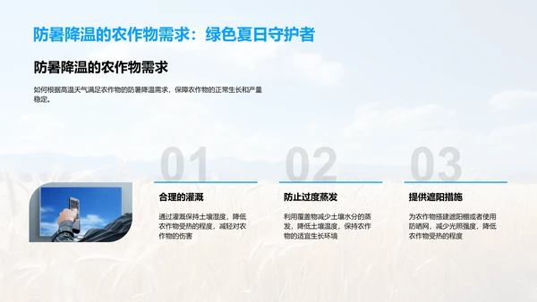 大暑农业生产