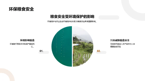 农业生态保护策略