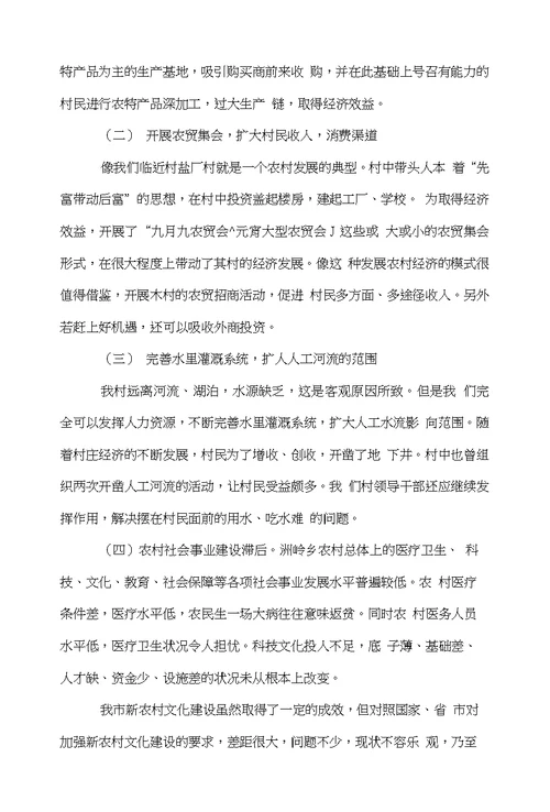 新农村建设调查报告范文