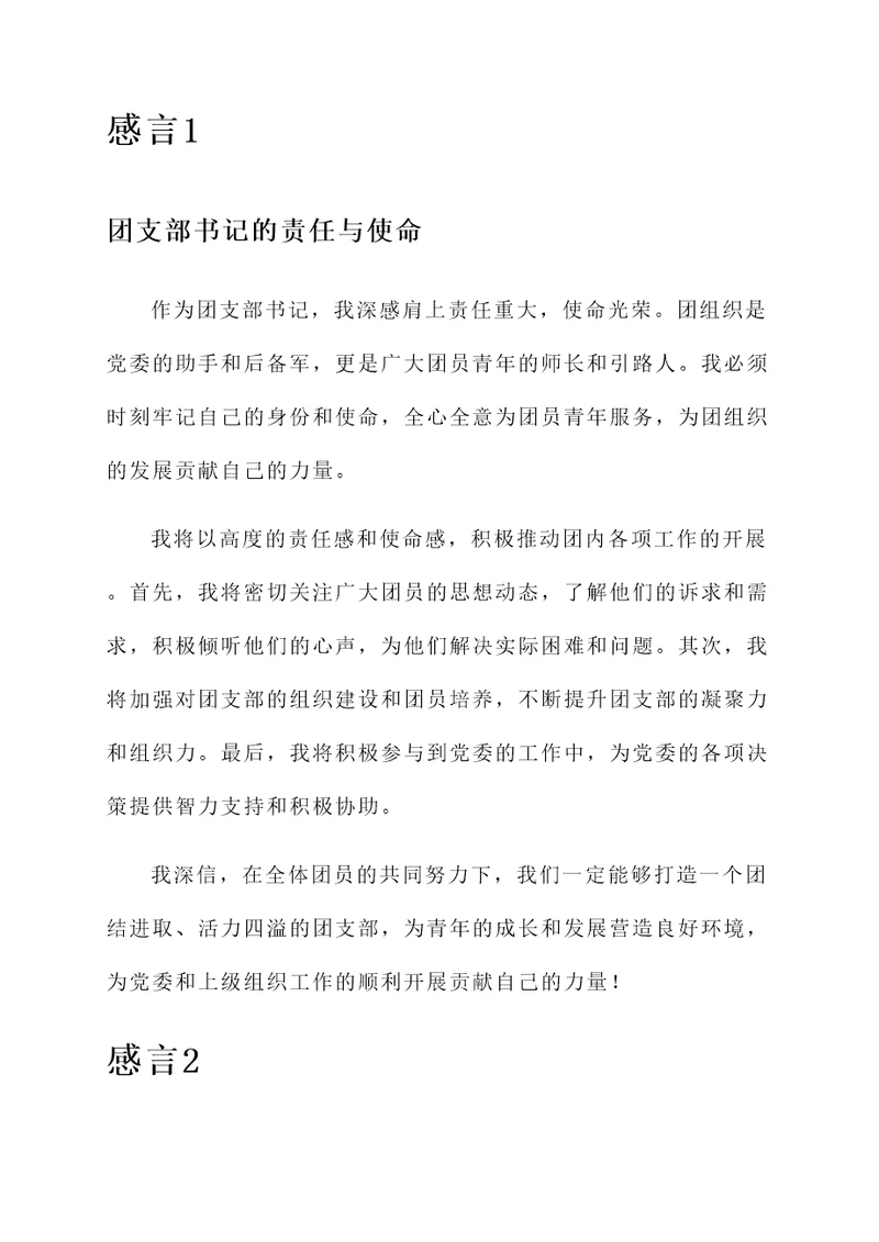 团支部书记的感言