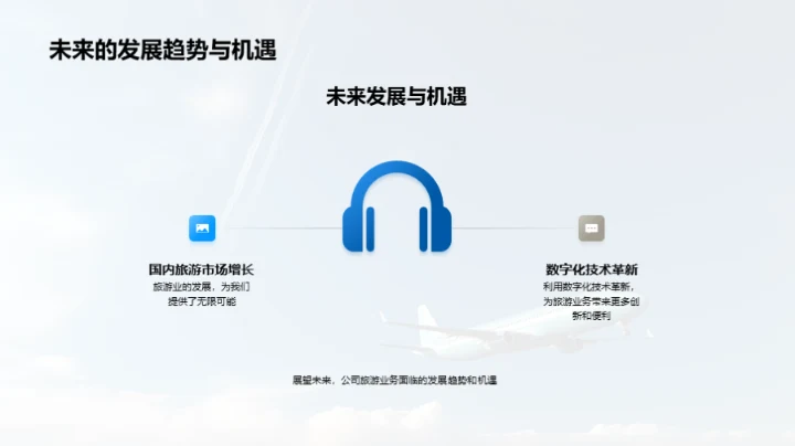 旅游业务：历程与展望