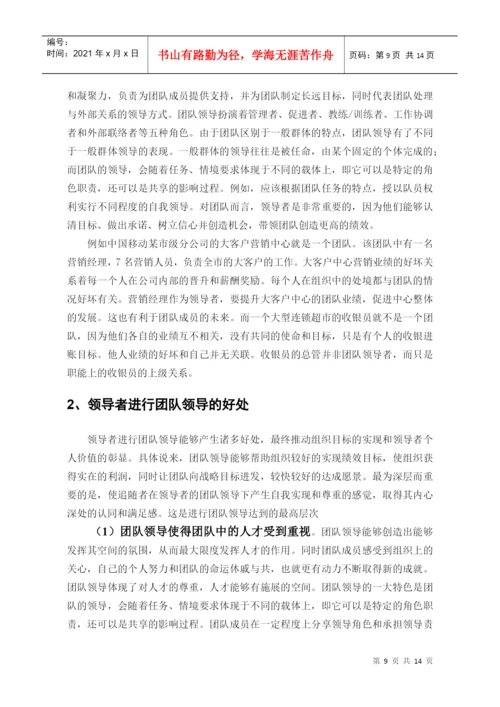 论文：愿景和团队领导.docx