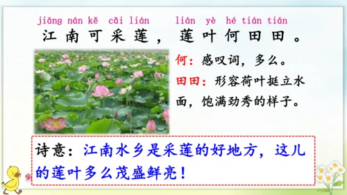 3 江南 课件