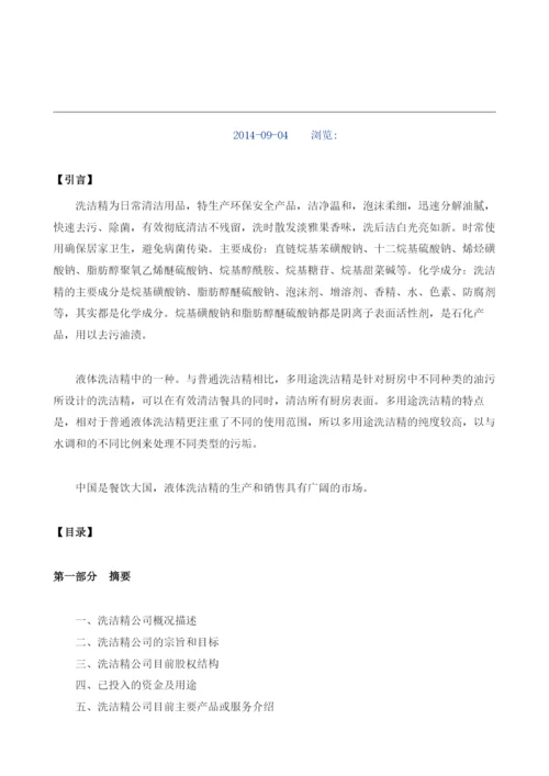 洗洁精项目商业计划书模板.docx