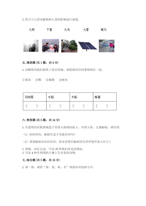 教科版小学二年级上册科学期末测试卷必考题.docx