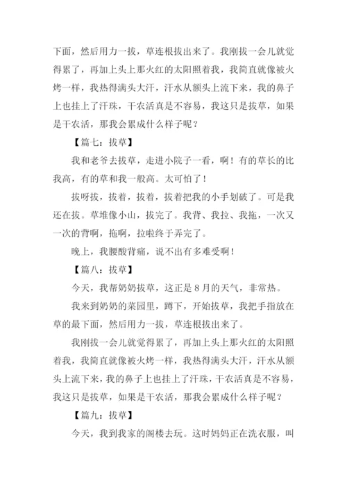 拔草作文100字0.docx