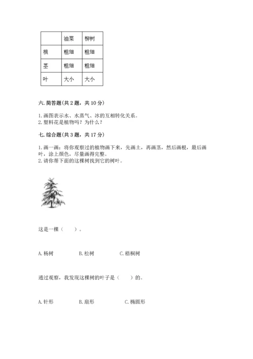 教科版科学一年级上册第一单元《植物》测试卷（培优）.docx