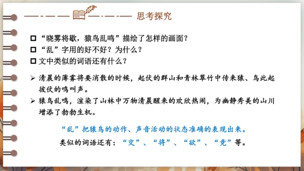 11 短文二篇 课件-2024-2025学年语文部编版八年级上册