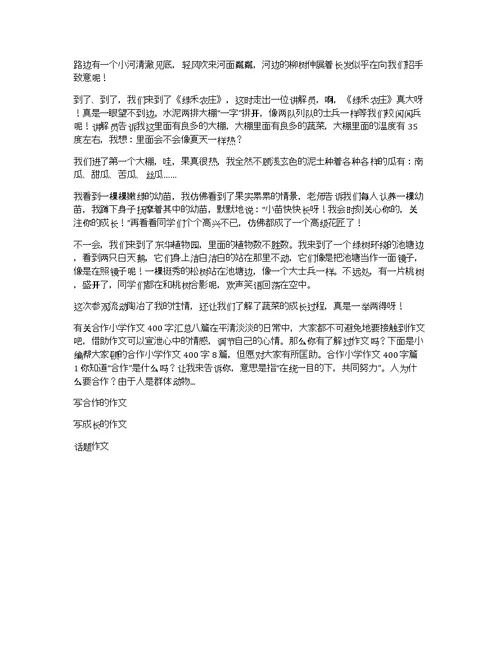关于合作小学作文500字集锦9篇