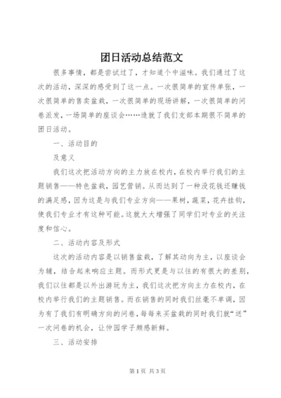 团日活动总结范文.docx