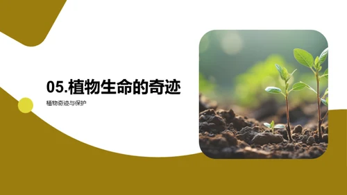 植物生命的秘密