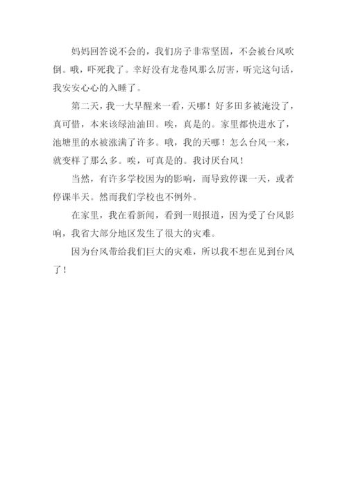 关于台风的作文300字.docx