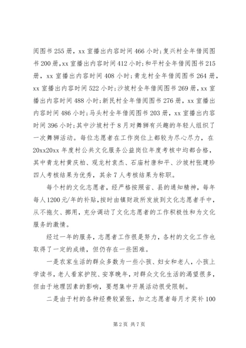 乡镇文化志愿者年度总结.docx