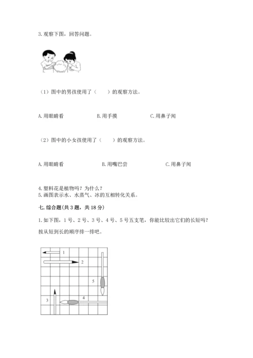 教科版科学一年级上册期末测试卷及答案（精品）.docx