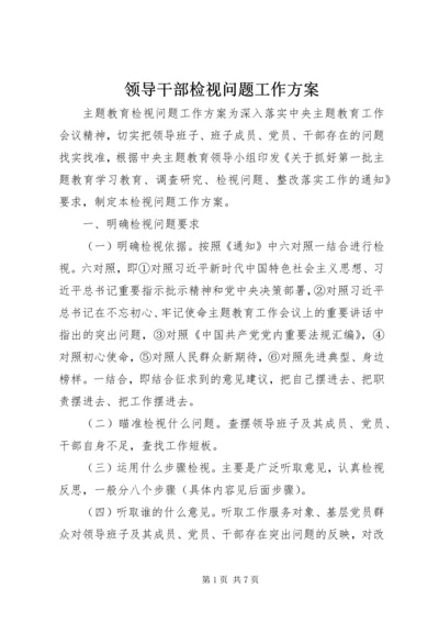 领导干部检视问题工作方案.docx
