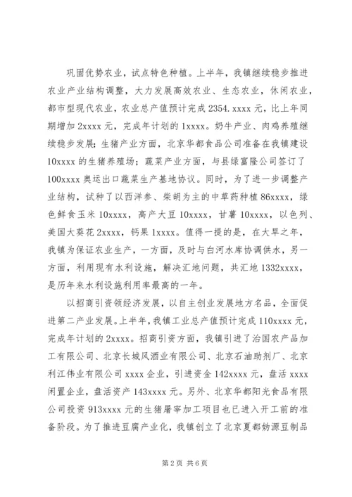 乡镇政府某年上半年工作总结.docx