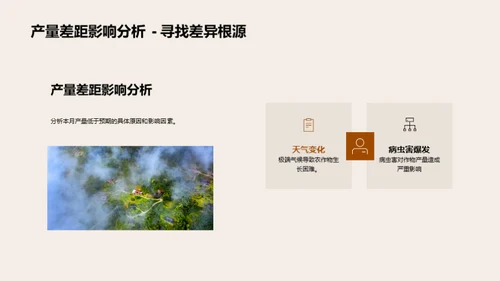 粮食产量分析与提升