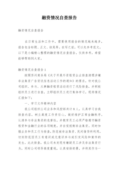 融资情况自查报告.docx