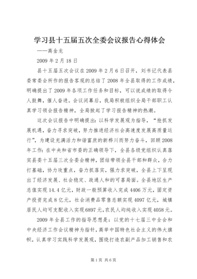 学习县十五届五次全委会议报告心得体会.docx