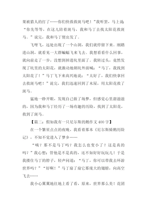 假如我有一只尼尔斯的鹅作文400字-1.docx