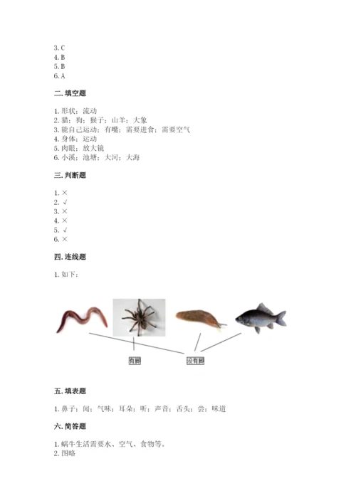 教科版小学科学一年级下册期末测试卷（夺冠）.docx